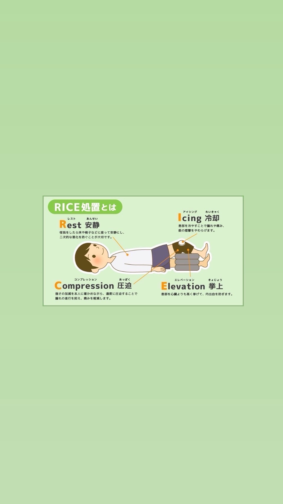 行政書士11